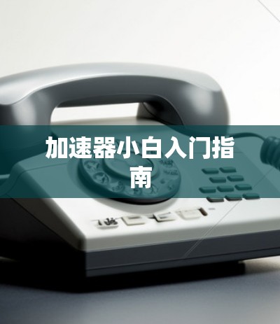 加速器小白入门指南