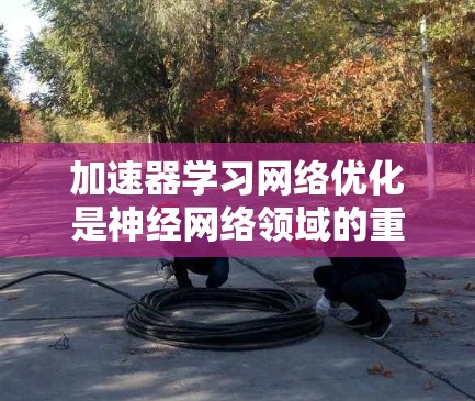 加速器学习网络优化是神经网络领域的重要技术，旨在提升模型训练效率和性能，特别是在处理大型数据集时。以下是对该领域的详细介绍
