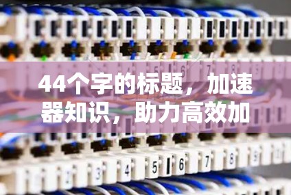 44个字的标题，加速器知识，助力高效加速的智能解决方案
