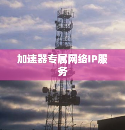 加速器专属网络IP服务