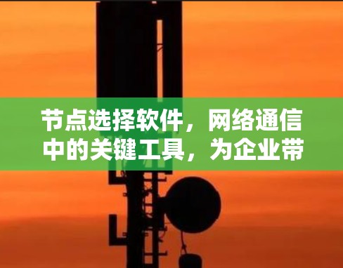 节点选择软件，网络通信中的关键工具，为企业带来高效、安全的通信解决方案