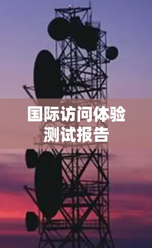 国际访问体验测试报告