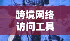 跨境网络访问工具是用于访问另一个国家或地区的网络设备和应用程序的工具，提供了多种选择，根据具体需求和安全要求进行选择。以下是详细的分步指南