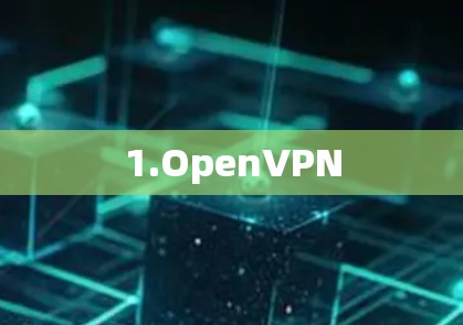 1.OpenVPN