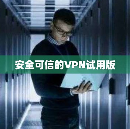 安全可信的VPN试用版
