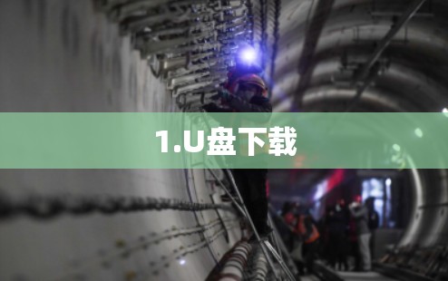1.U盘下载