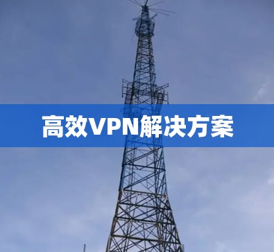 高效VPN解决方案