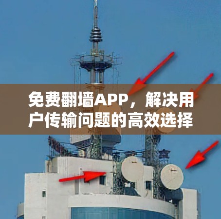 免费翻墙APP，解决用户传输问题的高效选择
