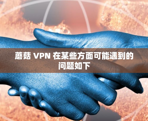 蘑菇 VPN 在某些方面可能遇到的问题如下