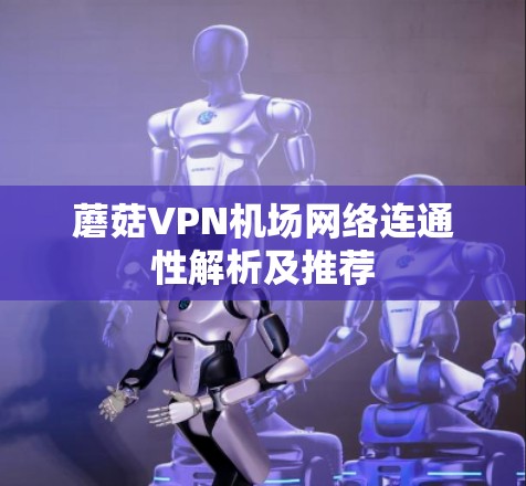 蘑菇VPN机场网络连通性解析及推荐