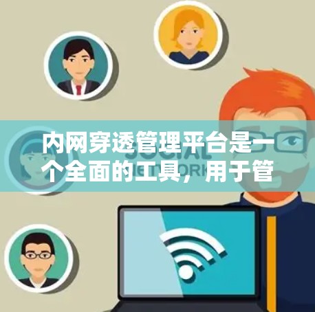 内网穿透管理平台是一个全面的工具，用于管理对内网的攻击，旨在防范和应对内网攻击。以下是该平台的主要功能和结构