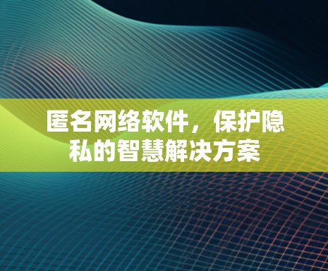 匿名网络软件，保护隐私的智慧解决方案